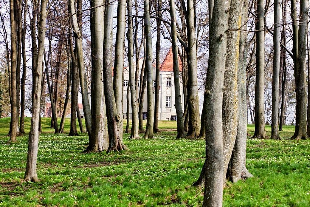 Zespol Palacowy Pacoltowo Na Wylacznosc Exteriör bild